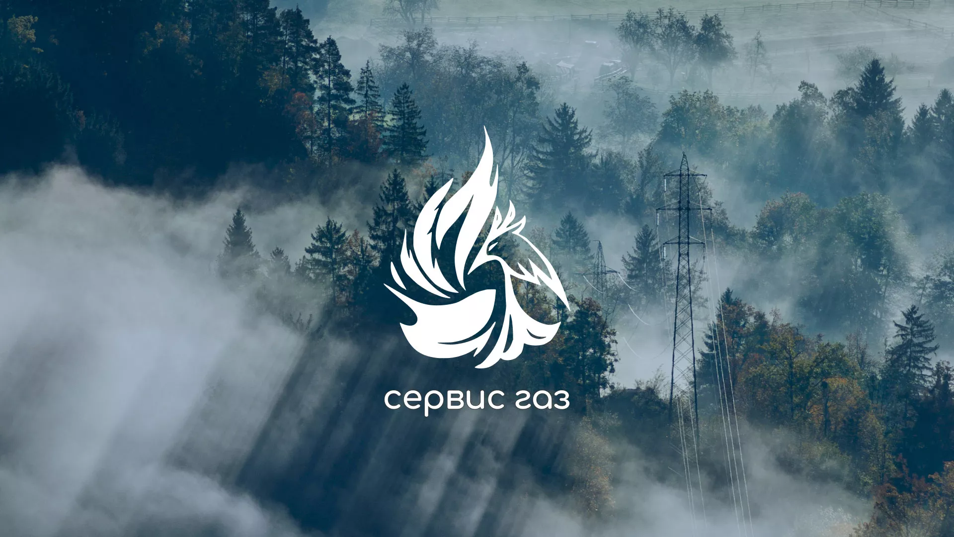 Создание сайта компании «Сервис газ» в Гавриловом Посаде