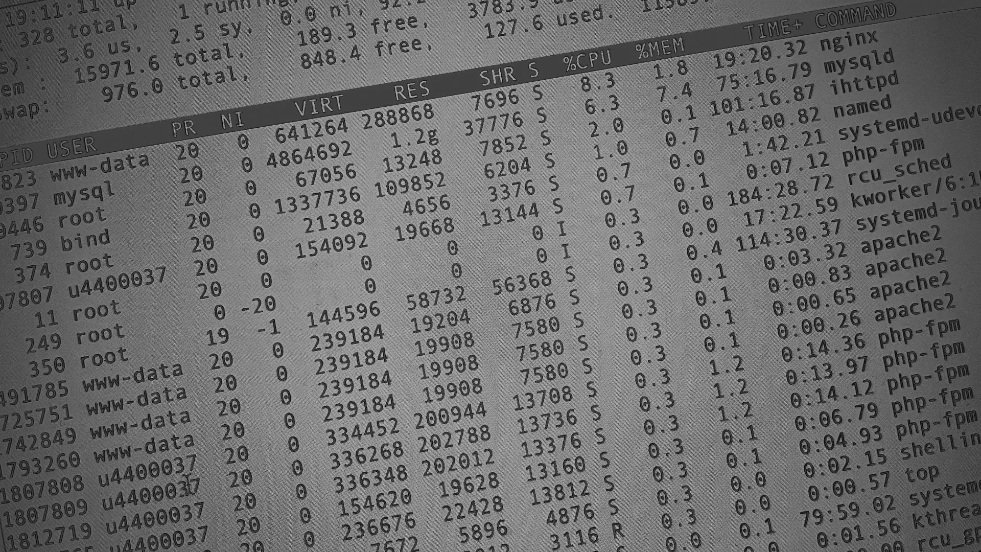 Настройка сервера в Гавриловом Посаде