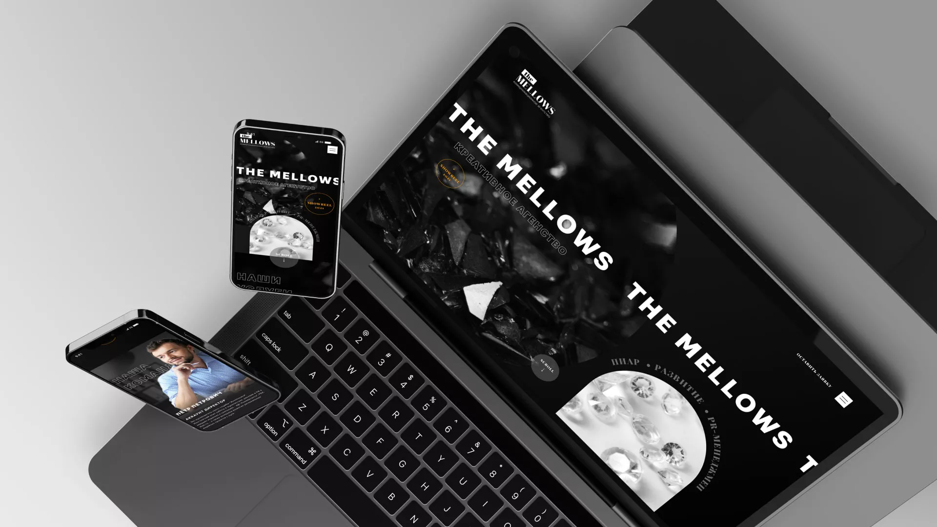 Разработка сайта креативного агентства «The Mellows» в Гавриловом Посаде