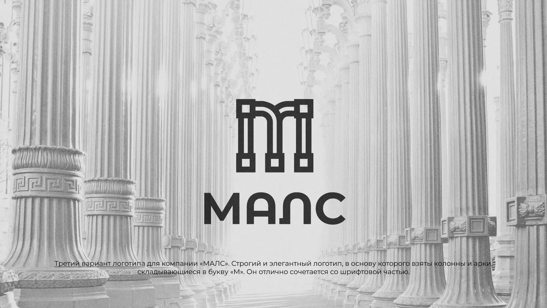 Разработка логотипа компании «МАЛС» в Гавриловом Посаде