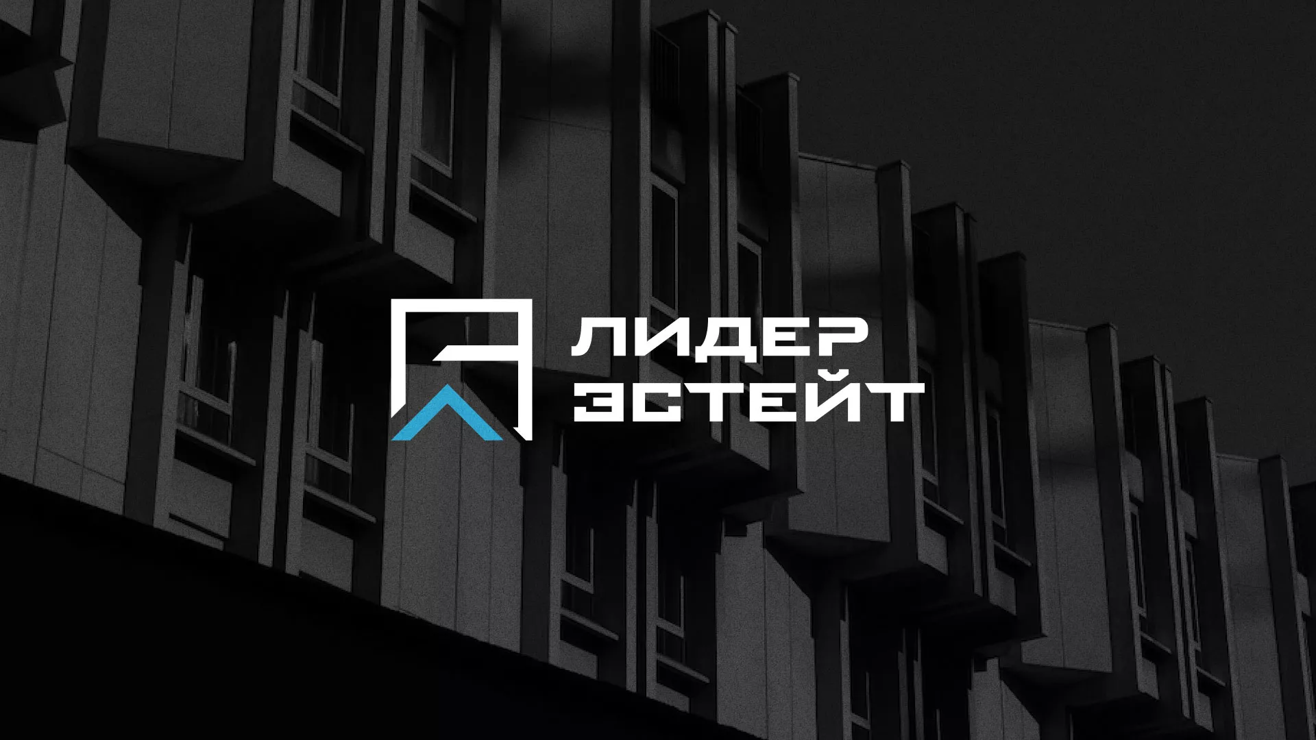 Разработка логотипа агентства недвижимости «Лидер Эстейт» в Гавриловом Посаде
